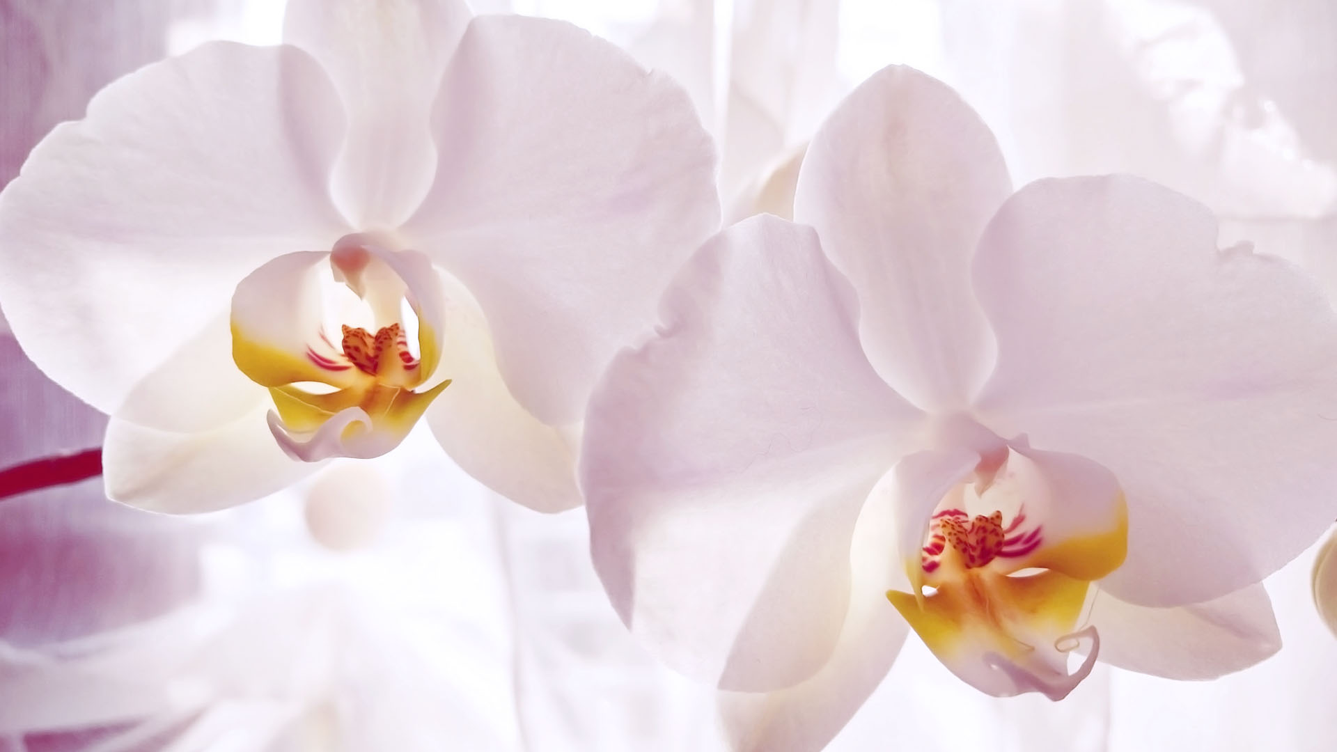 Imani Holistic Medical Centre - Gynaecology
